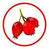 HAWTHORN BERRY